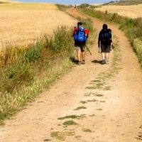 Amore e Psicoanalisi. Desiderio e inizio di un'analisi 